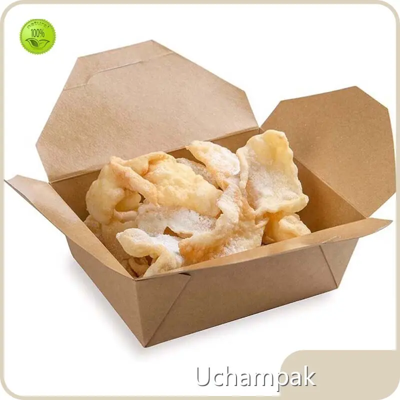 Hot Sale Biodegradable Takeaway Boxes Company 1