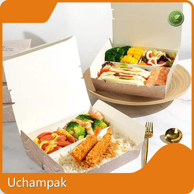 Biodegradable Takeaway Boxes Takeaway Boxes Wholesale - Uchampak 1