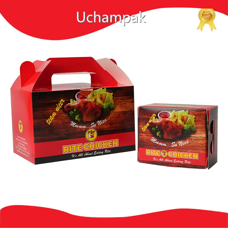 Takeaway Boxes Wholesale - for Coffee Shops - Uchampak-1 1