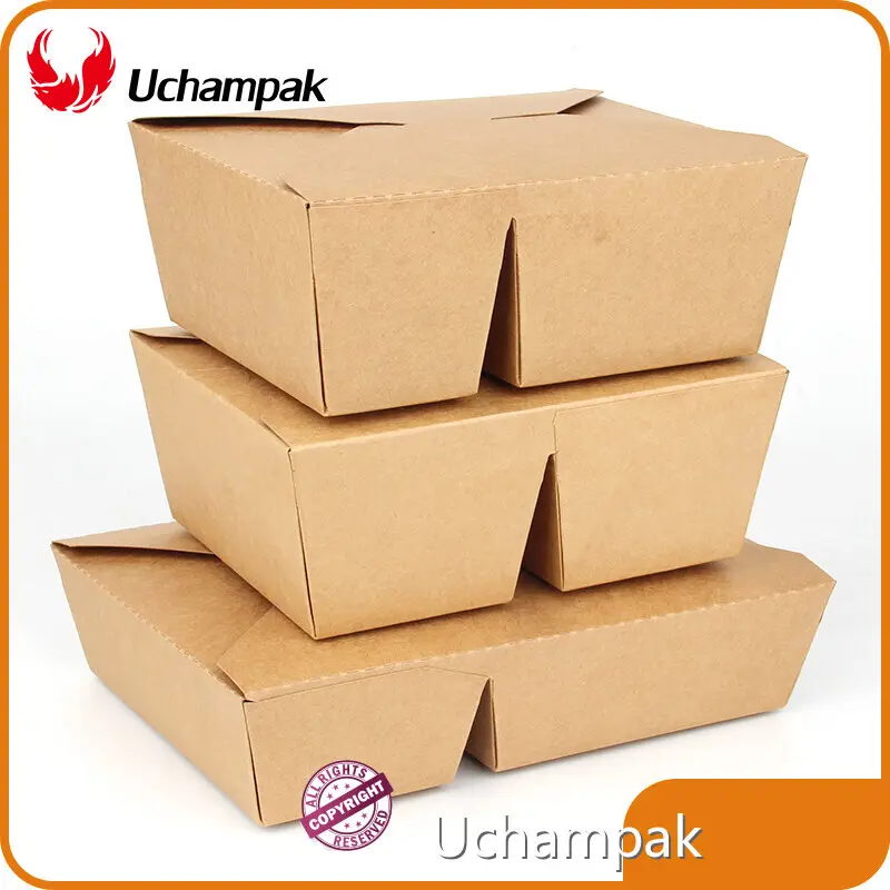 Takeaway Boxes Take Away Packaging for Fast Food Supply 1