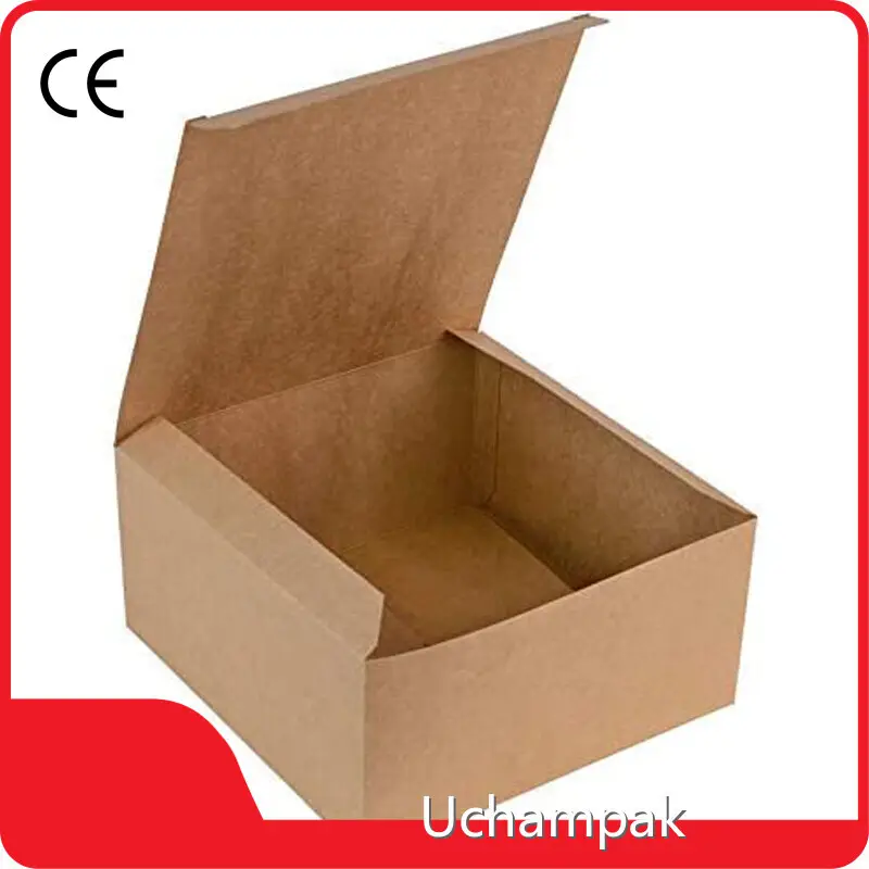 Wholesale Takeaway Containers - for Restaurants - Uchampak 1