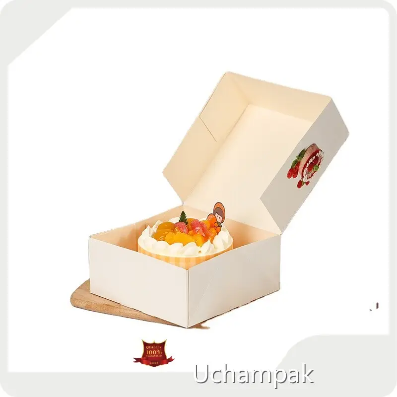 Takeaway Boxes Kraft Paper Sushi Box Series 1