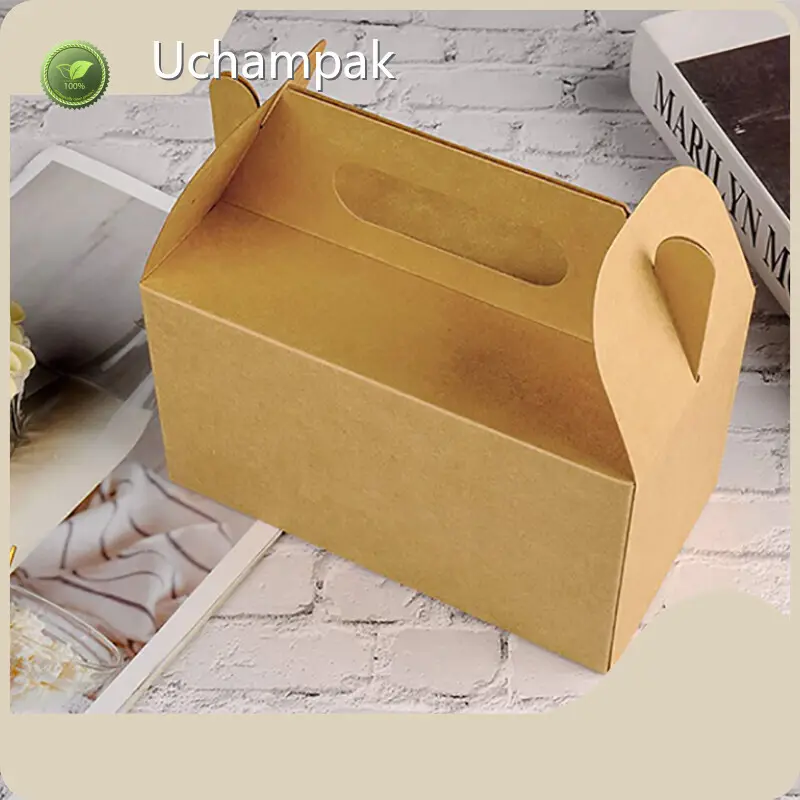 Fast Food Boxes Take Away Food Packaging From China 1