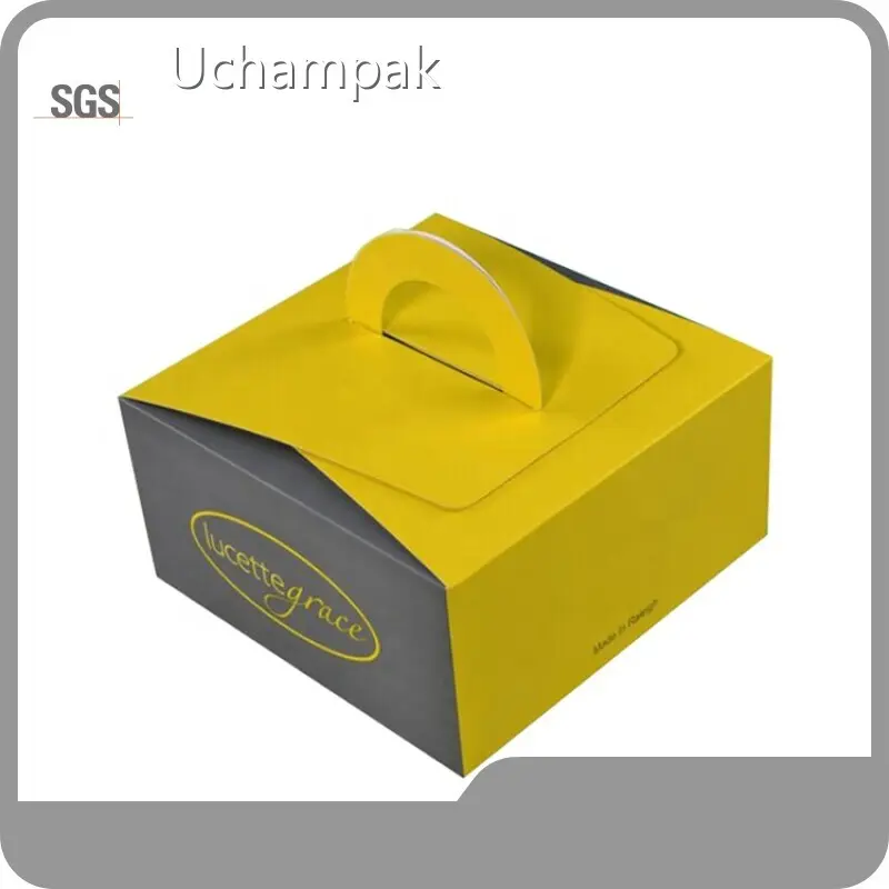 Salad Box with Window Fast Food Boxes Wholesale - Uchampak 1