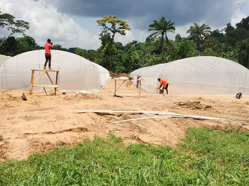 Hoop House Greenhouse JIANDA by Jianda Greenhouse 2