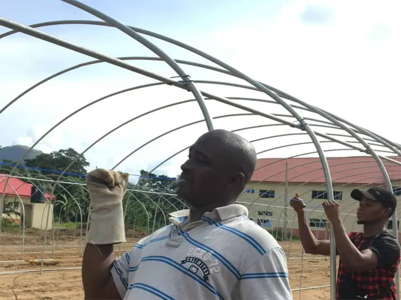 Hoop House Greenhouse JIANDA by Jianda Greenhouse 3