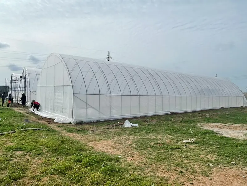 Hoop House Greenhouse JIANDA by Jianda Greenhouse 4