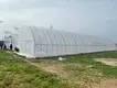 Hoop House Greenhouse JIANDA by Jianda Greenhouse 4