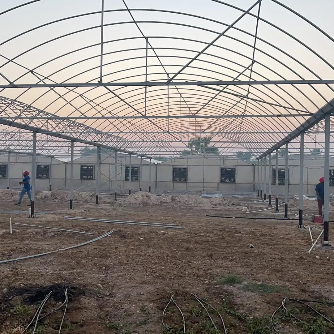 Multi Span Greenhouse L/C - - Jianda Greenhouse 3