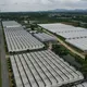 Multi Span Greenhouse L/C - - Jianda Greenhouse 2
