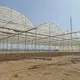 Multi Span Greenhouse L/C - - Jianda Greenhouse 4