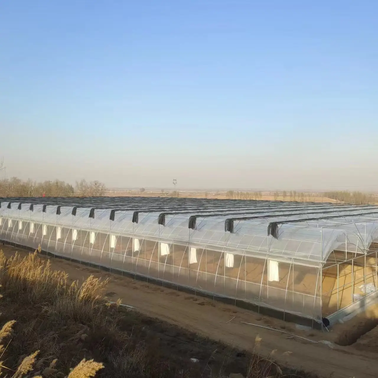 Custom Greenhouses Available by Jianda Greenhouse 2