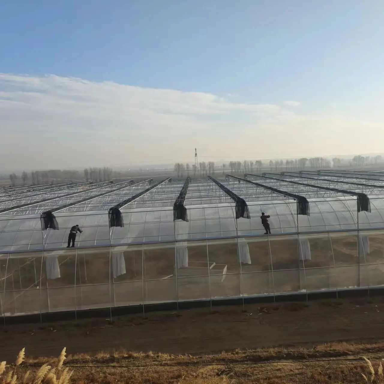 Custom Greenhouses Available by Jianda Greenhouse 5
