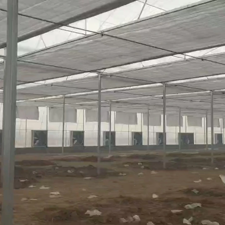 Aplicador automático de fertilizantes, invernadero grande de Agrofilm de doble capa para cultivo interior, 100x100m 1