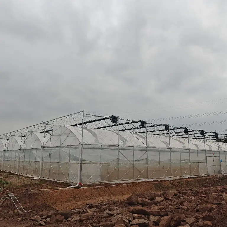 Custom Greenhouses QINGDAO by Jianda Greenhouse 2