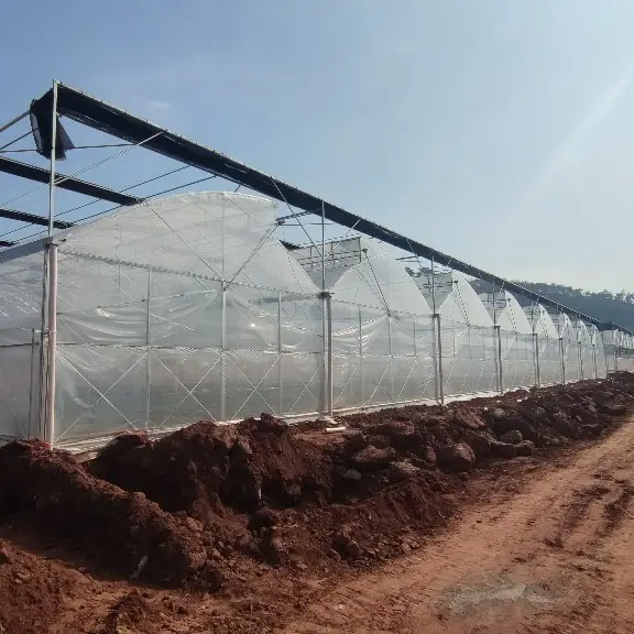 Custom Greenhouses QINGDAO by Jianda Greenhouse 4