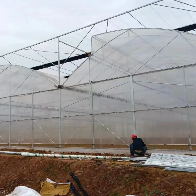 Custom Greenhouses QINGDAO by Jianda Greenhouse 5