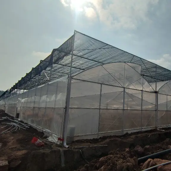 Custom Greenhouses QINGDAO by Jianda Greenhouse 6