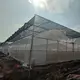 Custom Greenhouses QINGDAO by Jianda Greenhouse 6