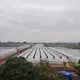 Custom Greenhouses QINGDAO by Jianda Greenhouse 7