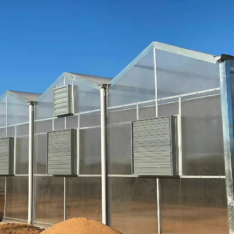 Green House for Tomatoes 1500 Square Meter - - Jianda Greenhouse 4