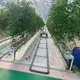 Green House for Tomatoes 1500 Square Meter - - Jianda Greenhouse 5