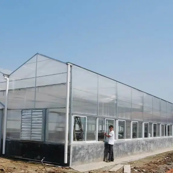 Green House for Tomatoes 1500 Square Meter - - Jianda Greenhouse 6