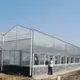 Green House for Tomatoes 1500 Square Meter - - Jianda Greenhouse 6