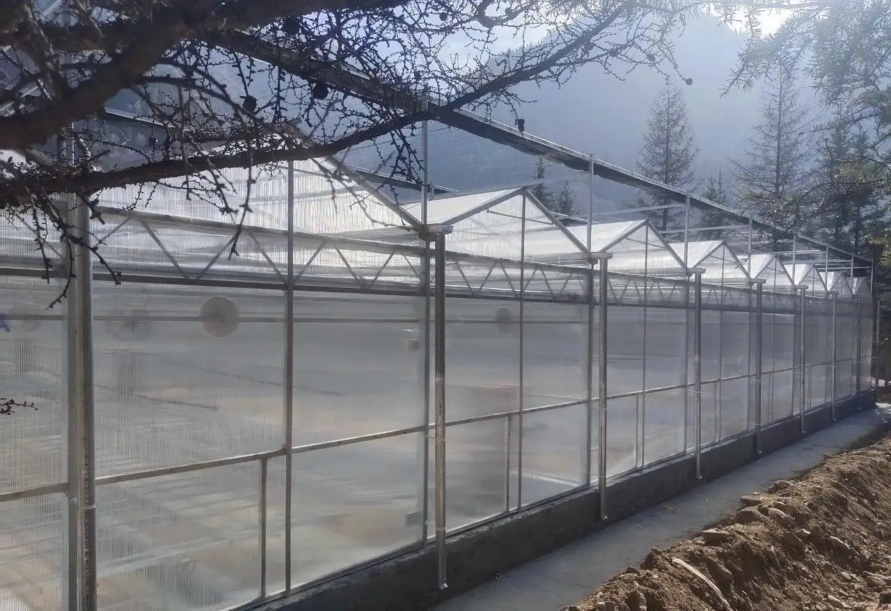 Polycarbonate Greenhouse for Sale JIANDA - - Jianda Greenhouse 3