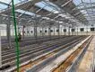 Polycarbonate Greenhouse for Sale JIANDA - - Jianda Greenhouse 5