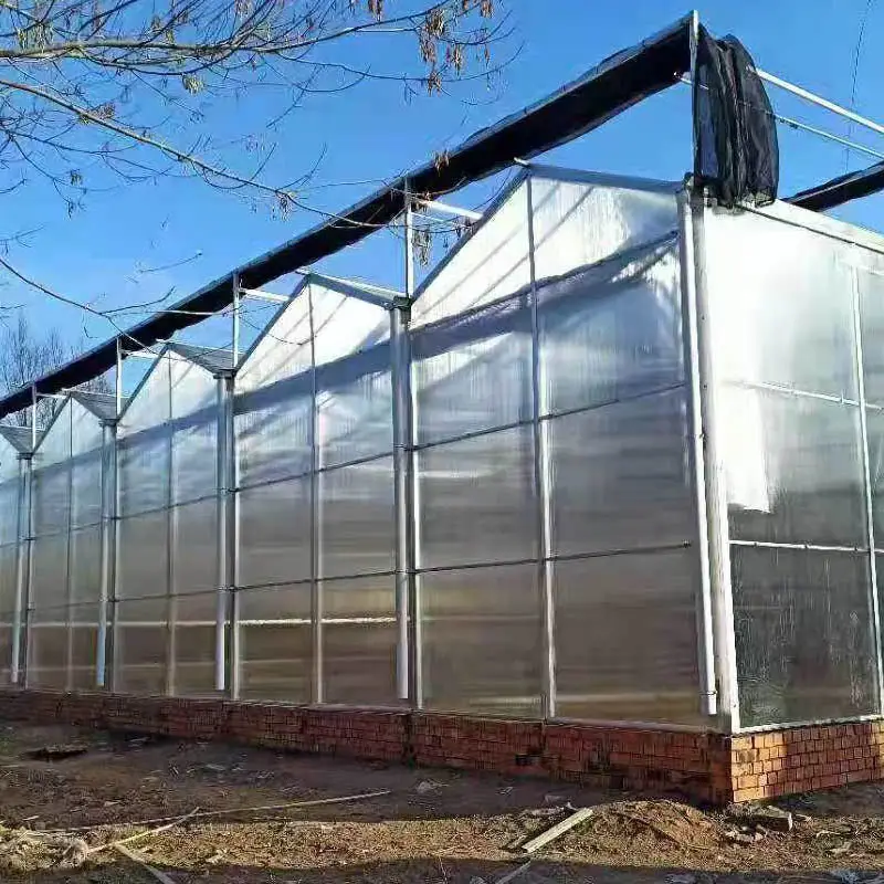 Polycarbonate Greenhouse for Sale JIANDA - - Jianda Greenhouse 2