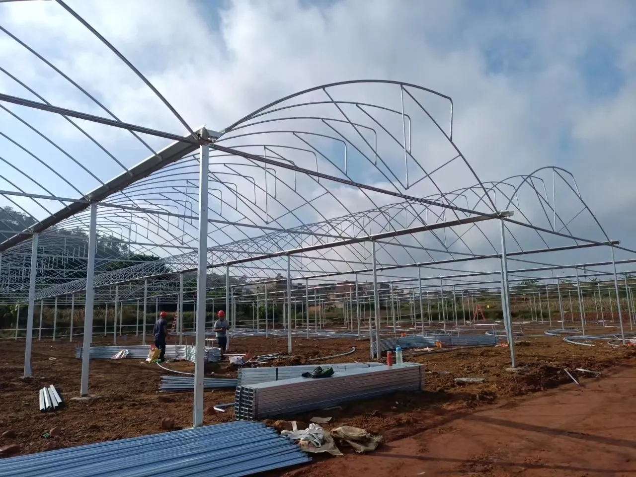 Greenhouse for Tropical Plants Negotiate by Jianda Greenhouse 5