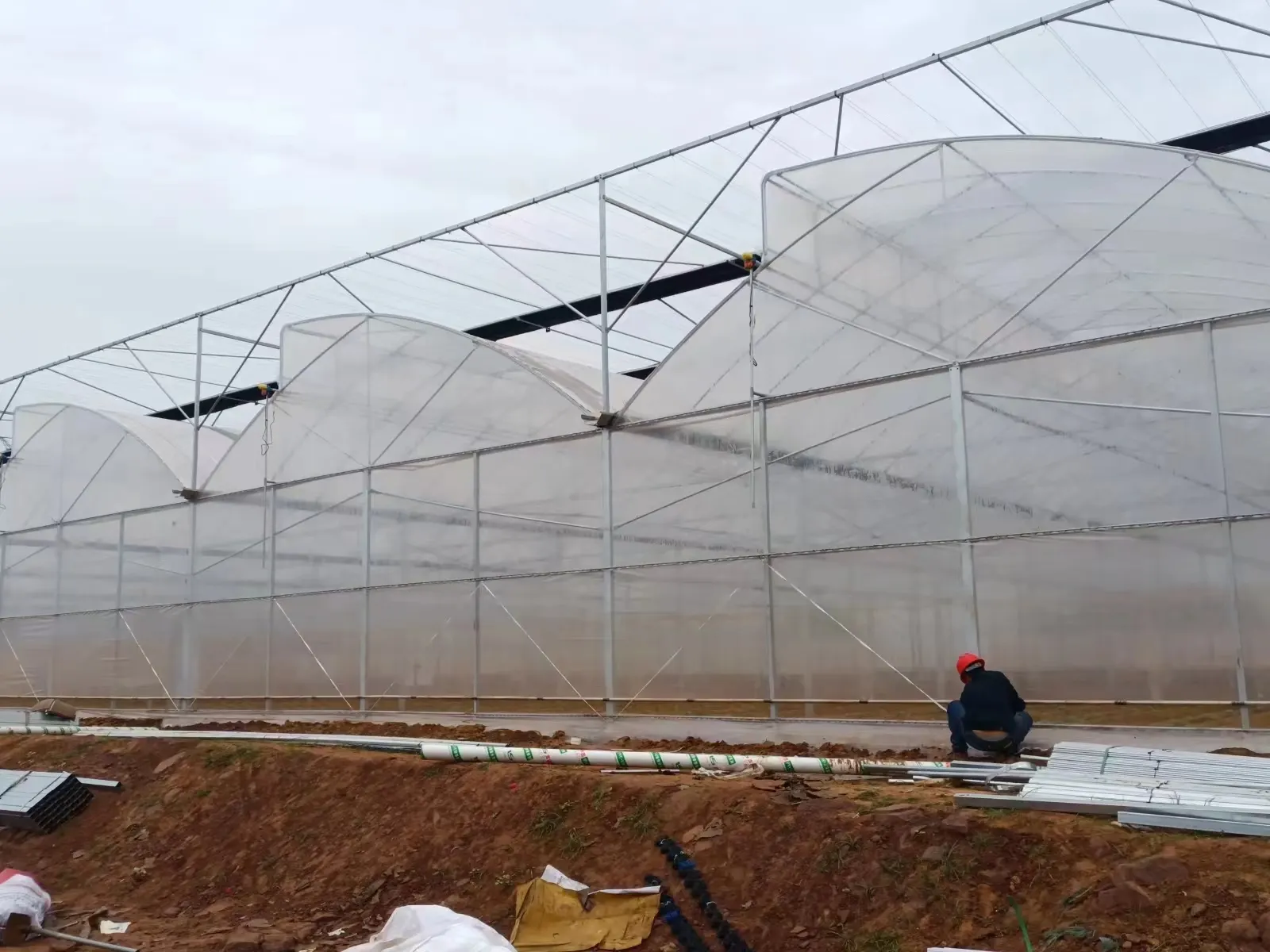 Greenhouse for Tropical Plants Negotiate by Jianda Greenhouse 6