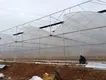 Greenhouse for Tropical Plants Negotiate by Jianda Greenhouse 6