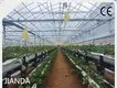 Backyard Tropical Greenhouse ISO/CE - - Jianda Greenhouse 1