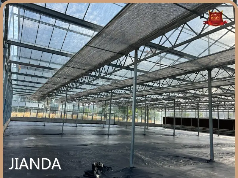 Best Greenhouse for Growing Vegetables Cash by Jianda Greenhouse 1