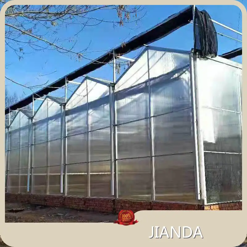 Best Greenhouse for Tomatoes Available - - Jianda Greenhouse 1