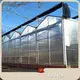Best Greenhouse for Tomatoes Available - - Jianda Greenhouse 1