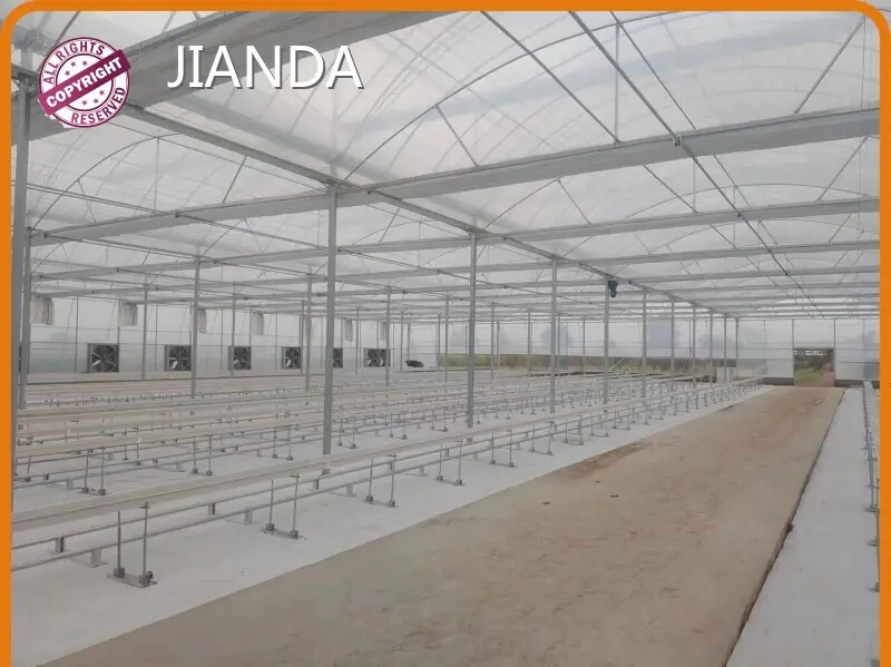 Film Greenhouse Factory JIANDA - - Jianda Greenhouse 1