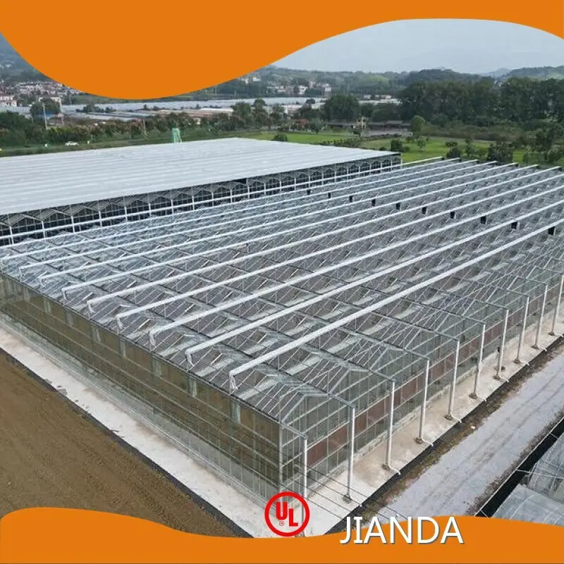 Greenhouse Rice Farming JIANDA by Jianda Greenhouse 1
