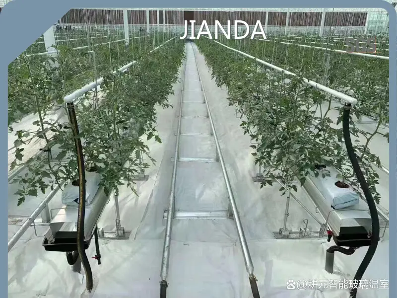 Greenhouses for Sale QINGDAO by Jianda Greenhouse 1
