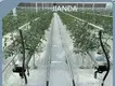 Greenhouses for Sale QINGDAO by Jianda Greenhouse 1