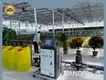 Venlo Greenhouse for Sale Cash - - Jianda Greenhouse 1