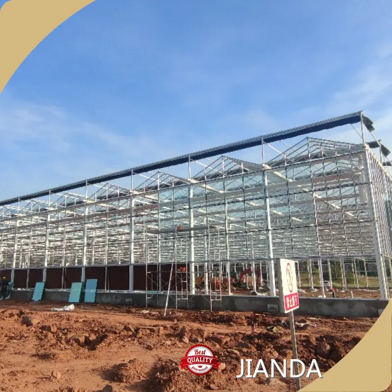 Greenhouses for Sale 1500 Square Meter by Jianda Greenhouse 1