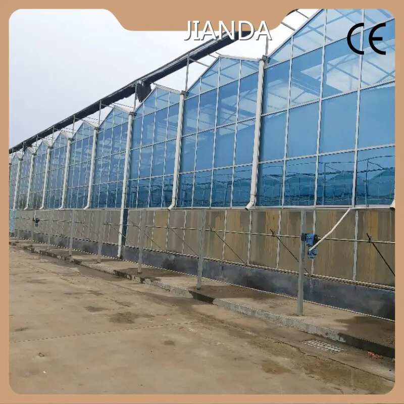 Grow Smart Greenhouse ISO/CE by Jianda Greenhouse 1