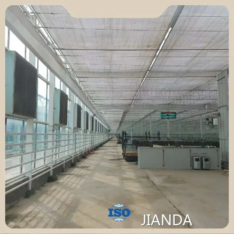 Backyard Greenhouse for Vegetables QINGDAO by Jianda Greenhouse 1