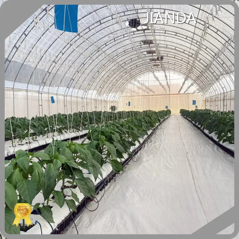Tunnel Greenhouses for Sale QINGDAO by Jianda Greenhouse 1