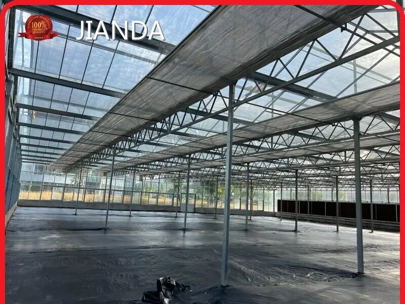 Best Greenhouse for Growing Vegetables 1500 Square Meter - - Jianda Greenhouse 1