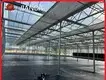 Best Greenhouse for Growing Vegetables 1500 Square Meter - - Jianda Greenhouse 1