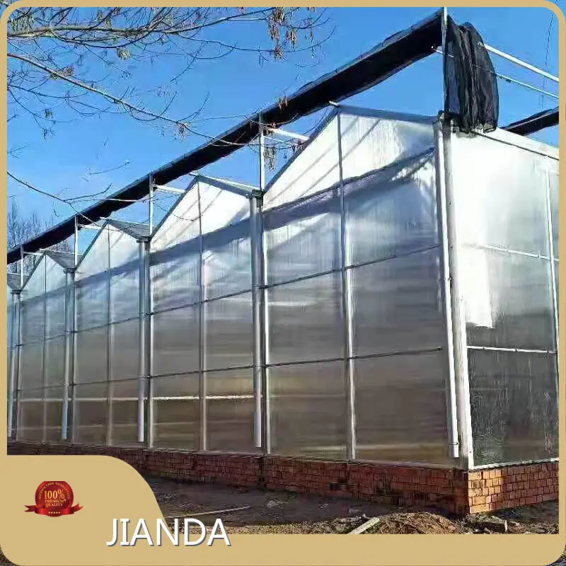 Vegtrug Tomato Greenhouse JIANDA by Jianda Greenhouse 1